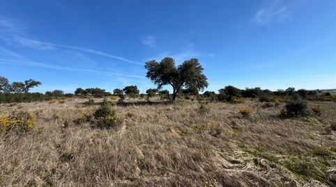 Photo 5 of Land for sale in N/a, -1, Valdesalor - Rincón de Ballesteros, Cáceres Capital