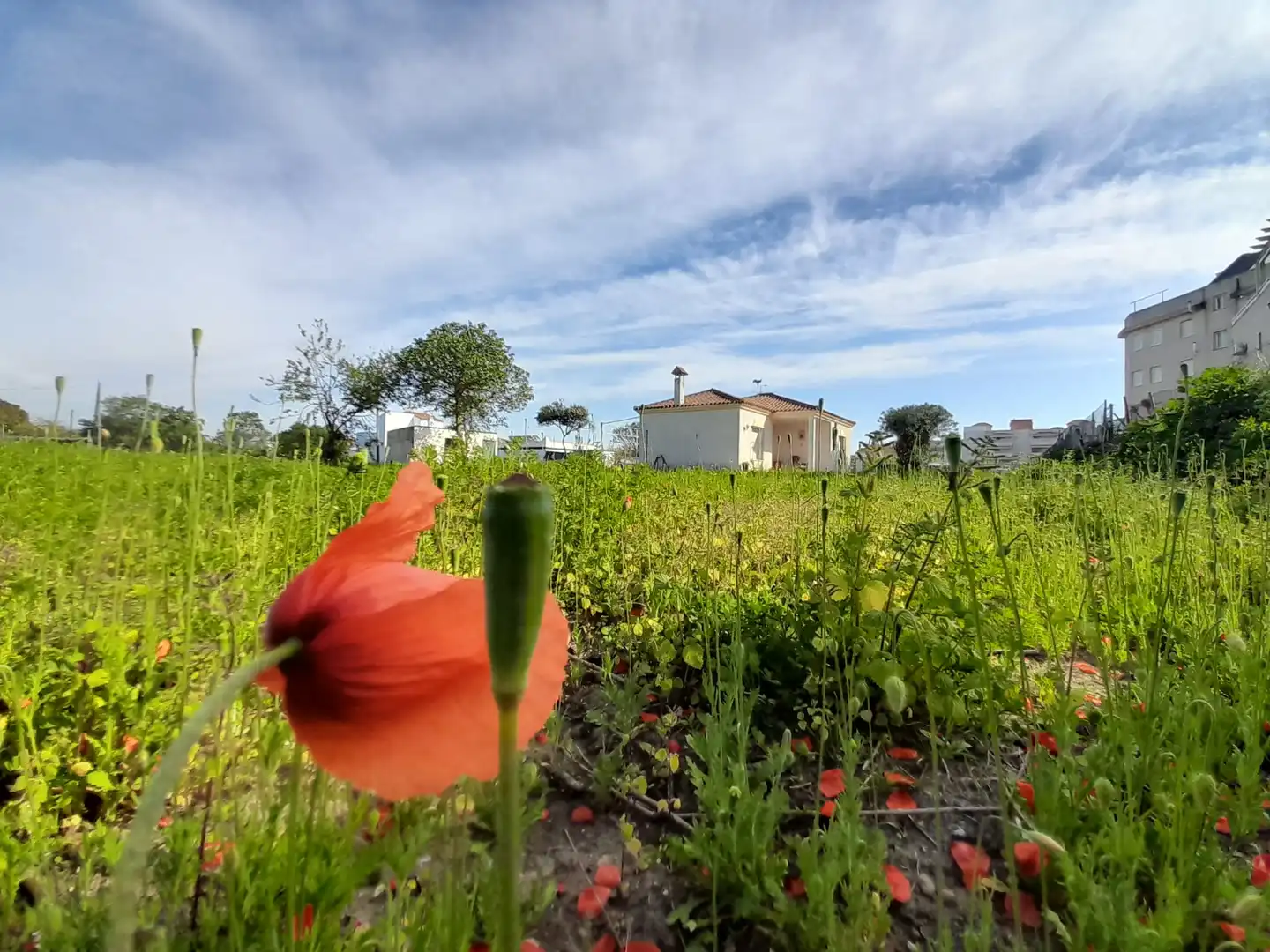 Country house zum Verkauf in Av/ Laguna, 10, La Laguna