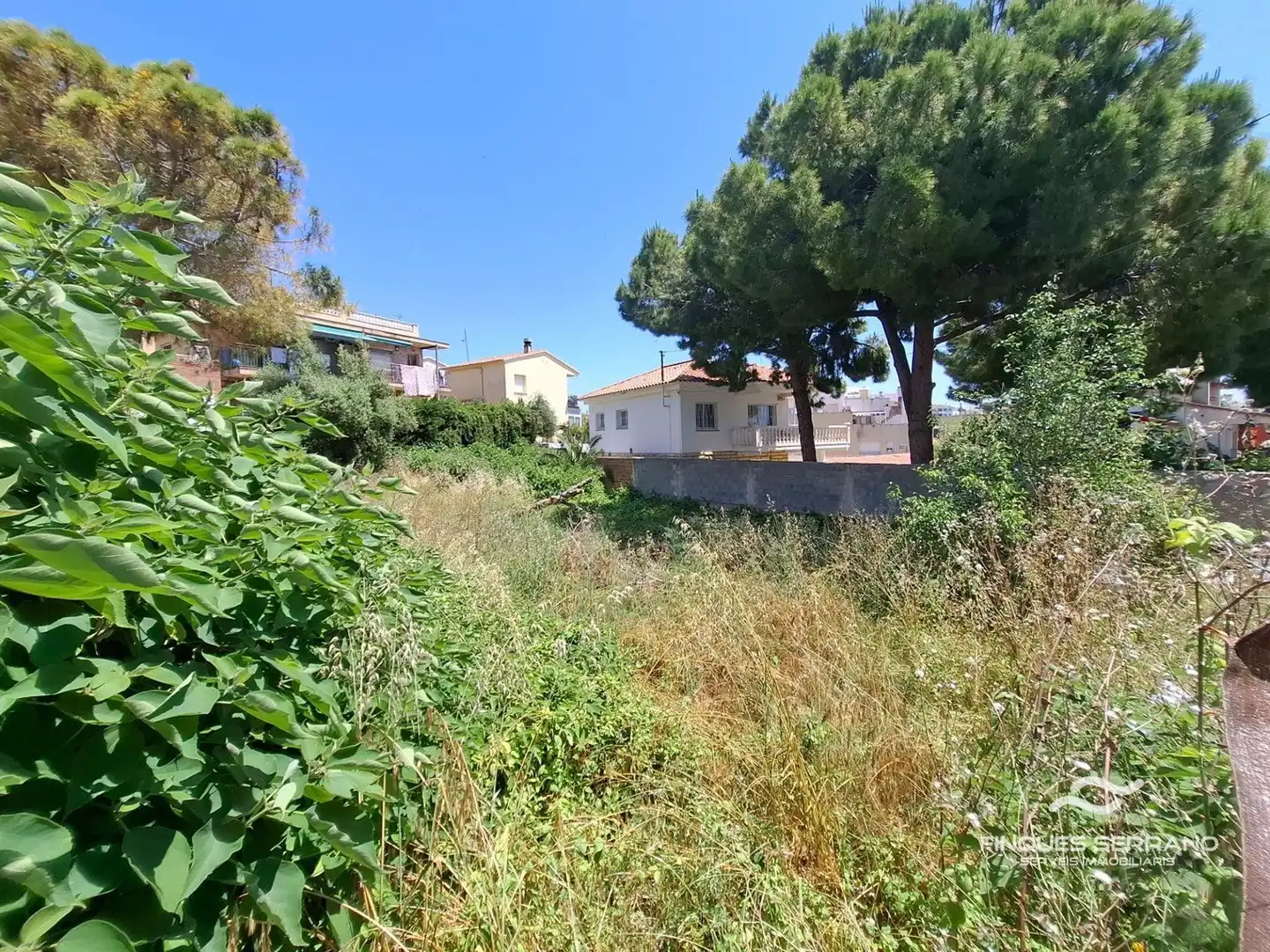Rural land for sale in IRLANDA, imagen 6