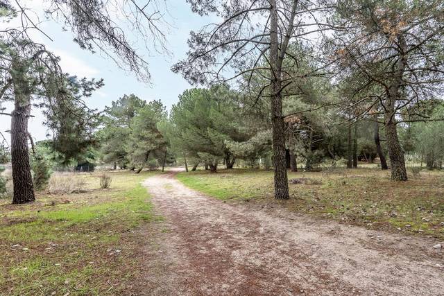 Terreno residencial en Venta en 17-mojados Iii, S/N en Tudela de Duero