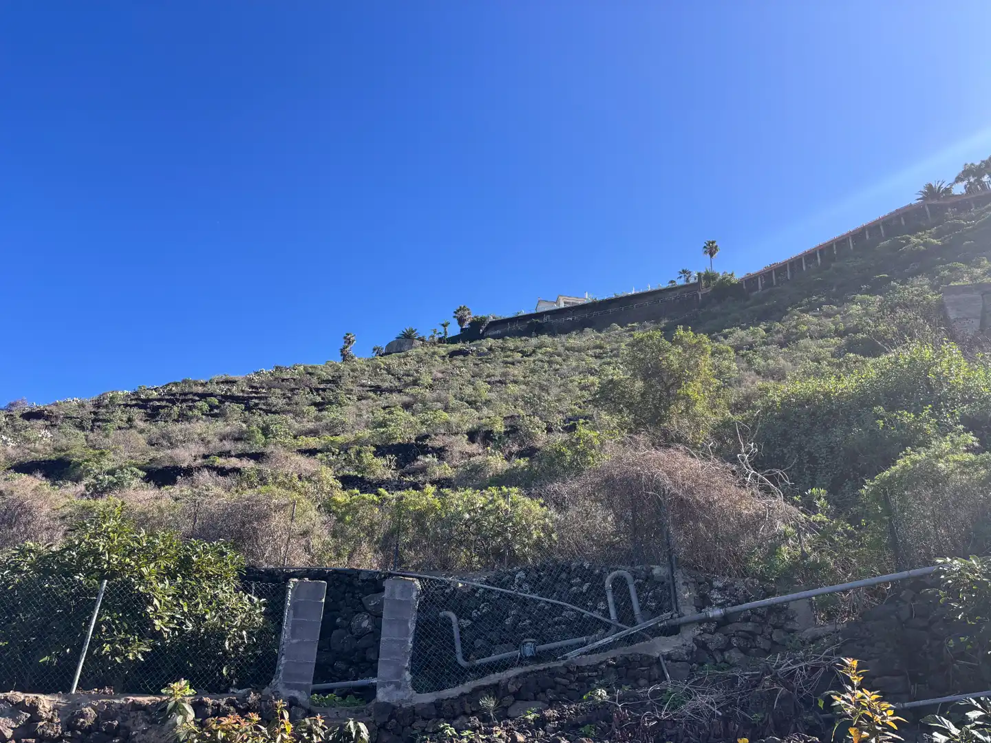 Terreno rustico in vendita a Camino de San Diego, imagen 31