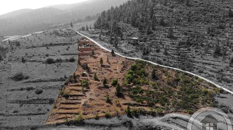 Foto 5 de Finca rústica en venda a Camino Los Cortados, Vilaflor de Chasna, Santa Cruz de Tenerife