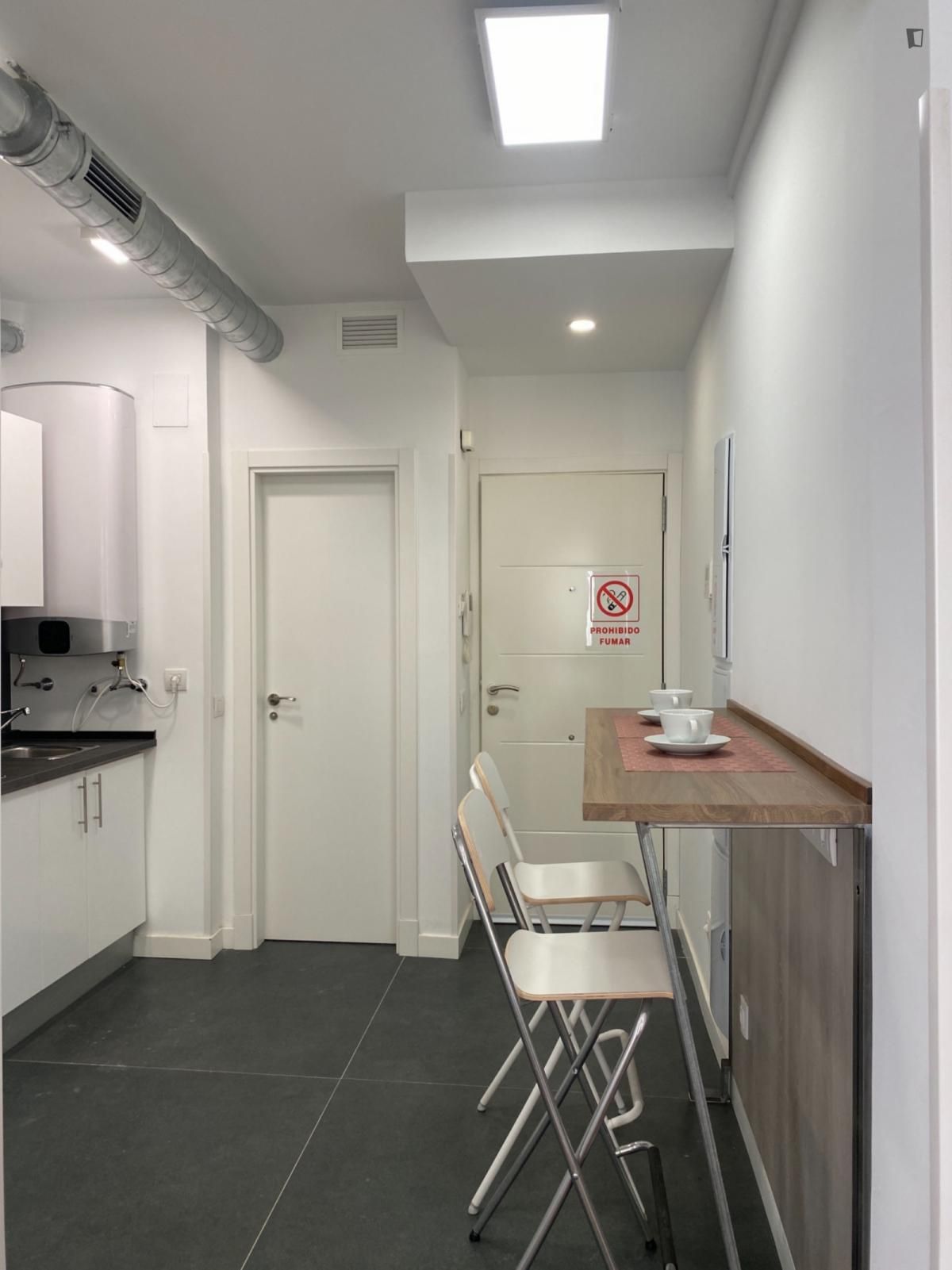 Estudio de alquiler en Embajadores - Lavapiés