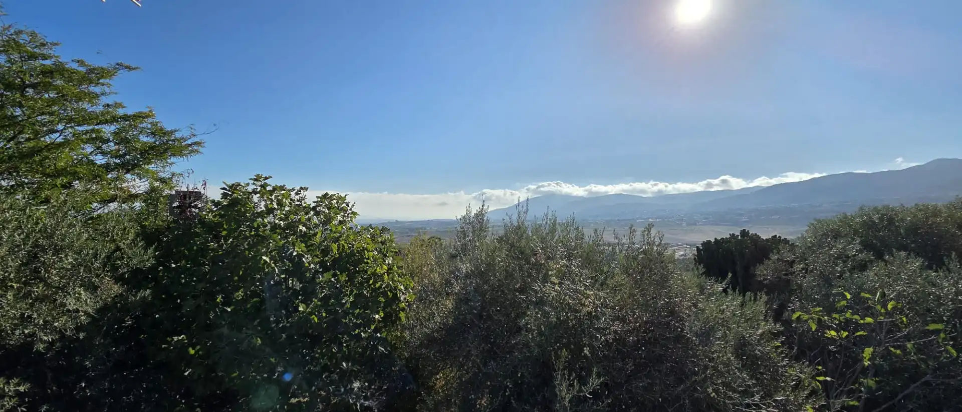 Xalet amb jardí de lloguer a Alquería - Torrealquería, imagen 28