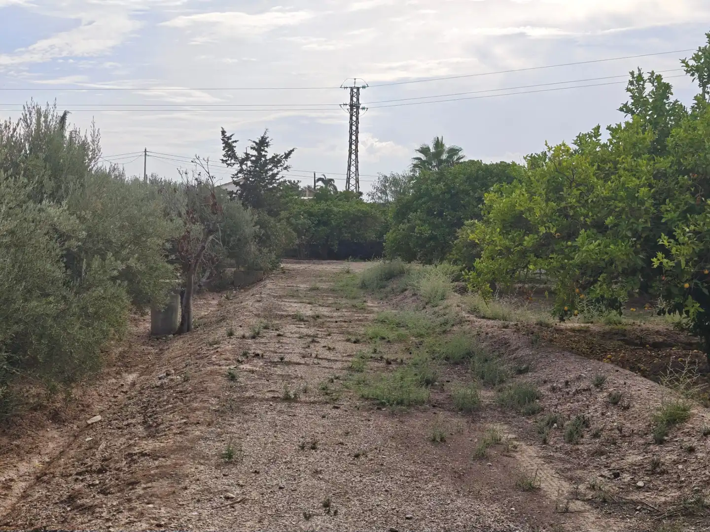 Terreno residencial en venta en Totana, imagen 5
