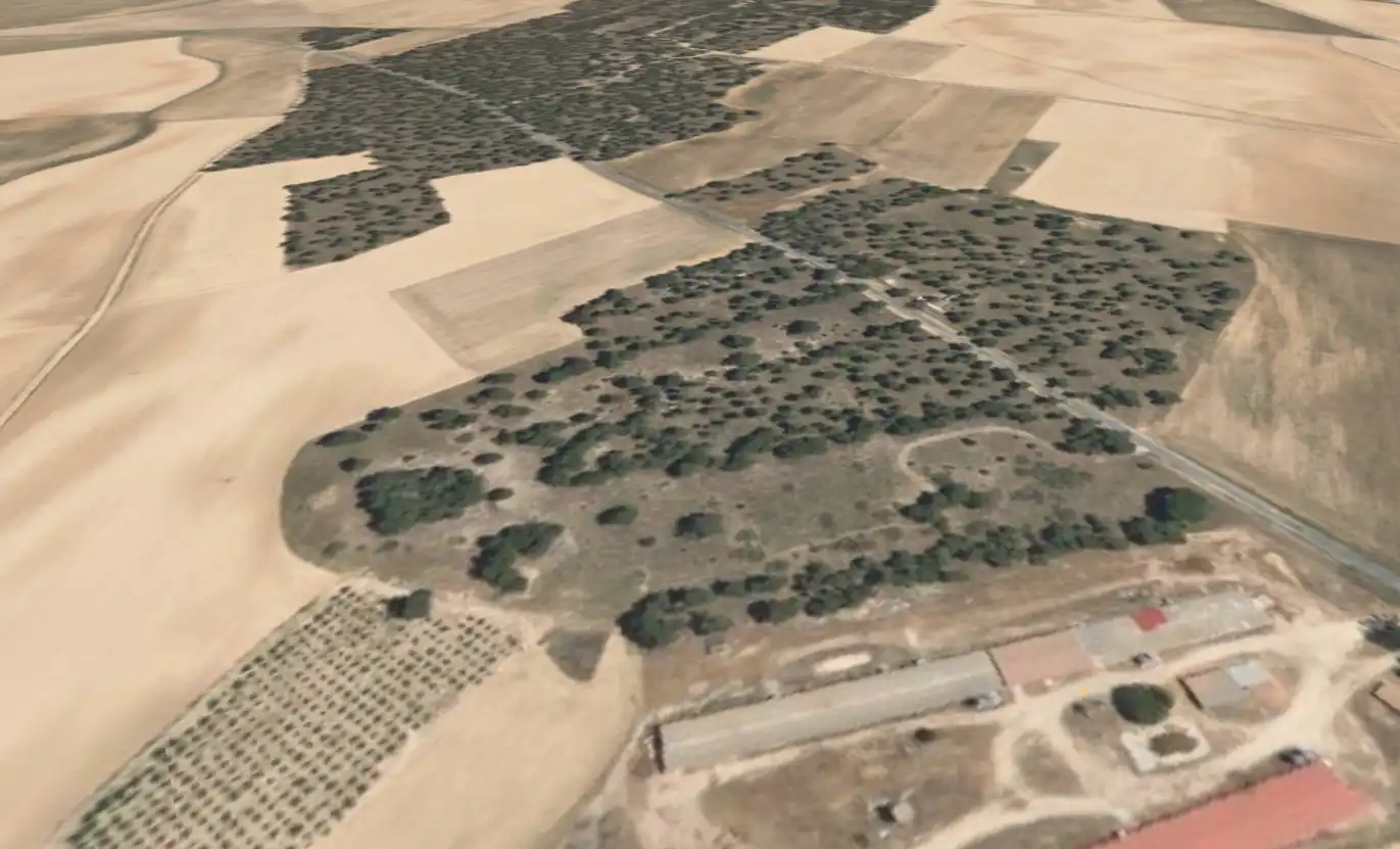 Land for sale in Gutierre-Muñoz