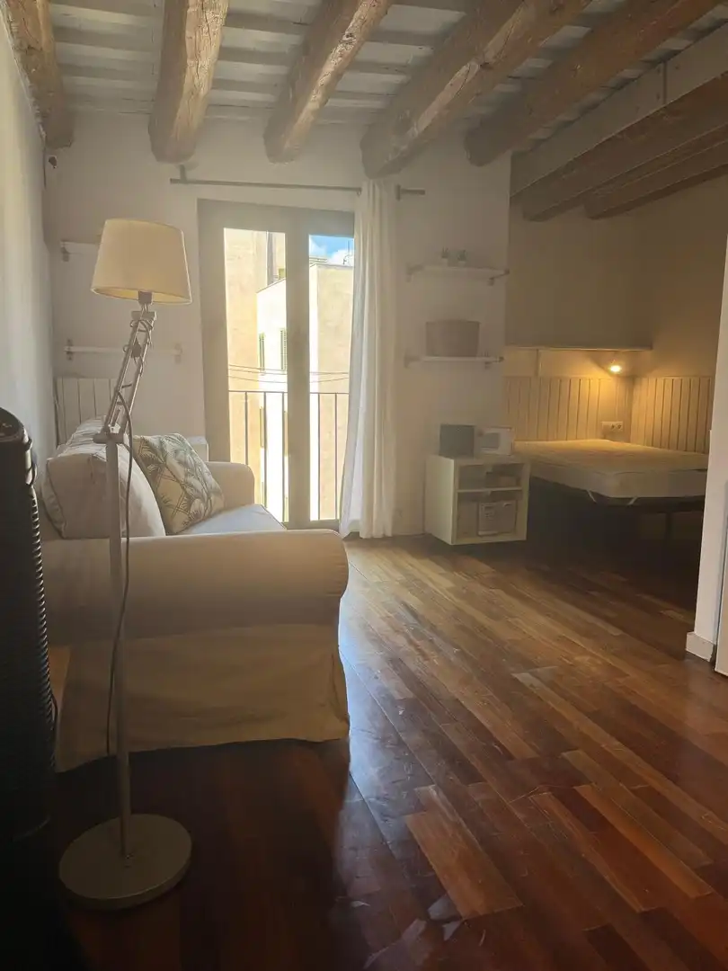 Wohnung mit Terrasse zum Verkauf in RAVAL, imagen 14