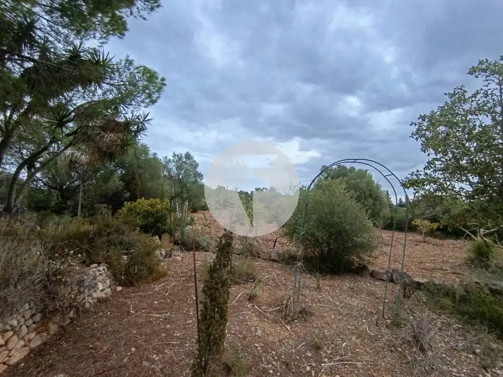 Casa o chalet de alquiler en Llucmajor, Illes Balears