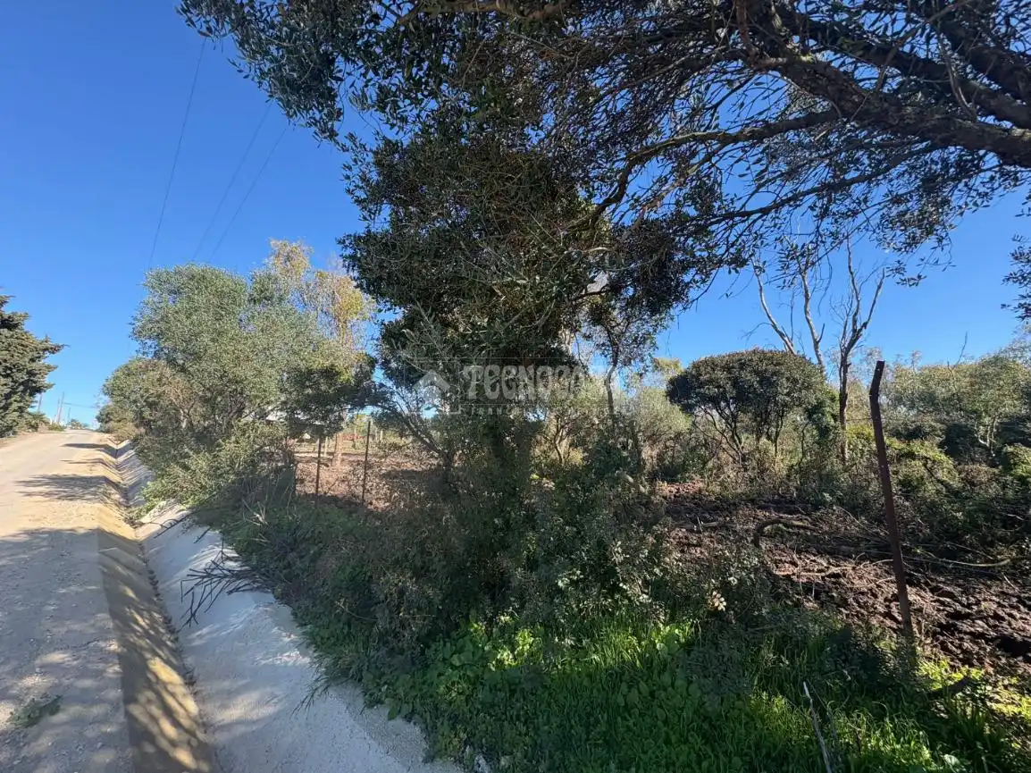 Terrain rustique à vendre à Vejer, imagen 7