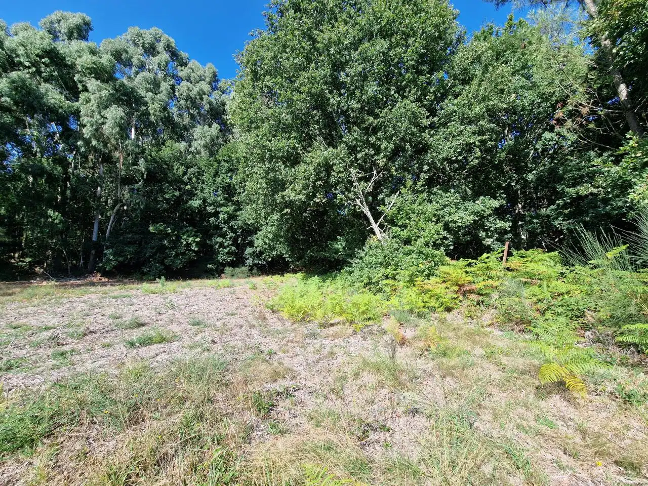 Casa rústica en venta en Esgos, imagen 9