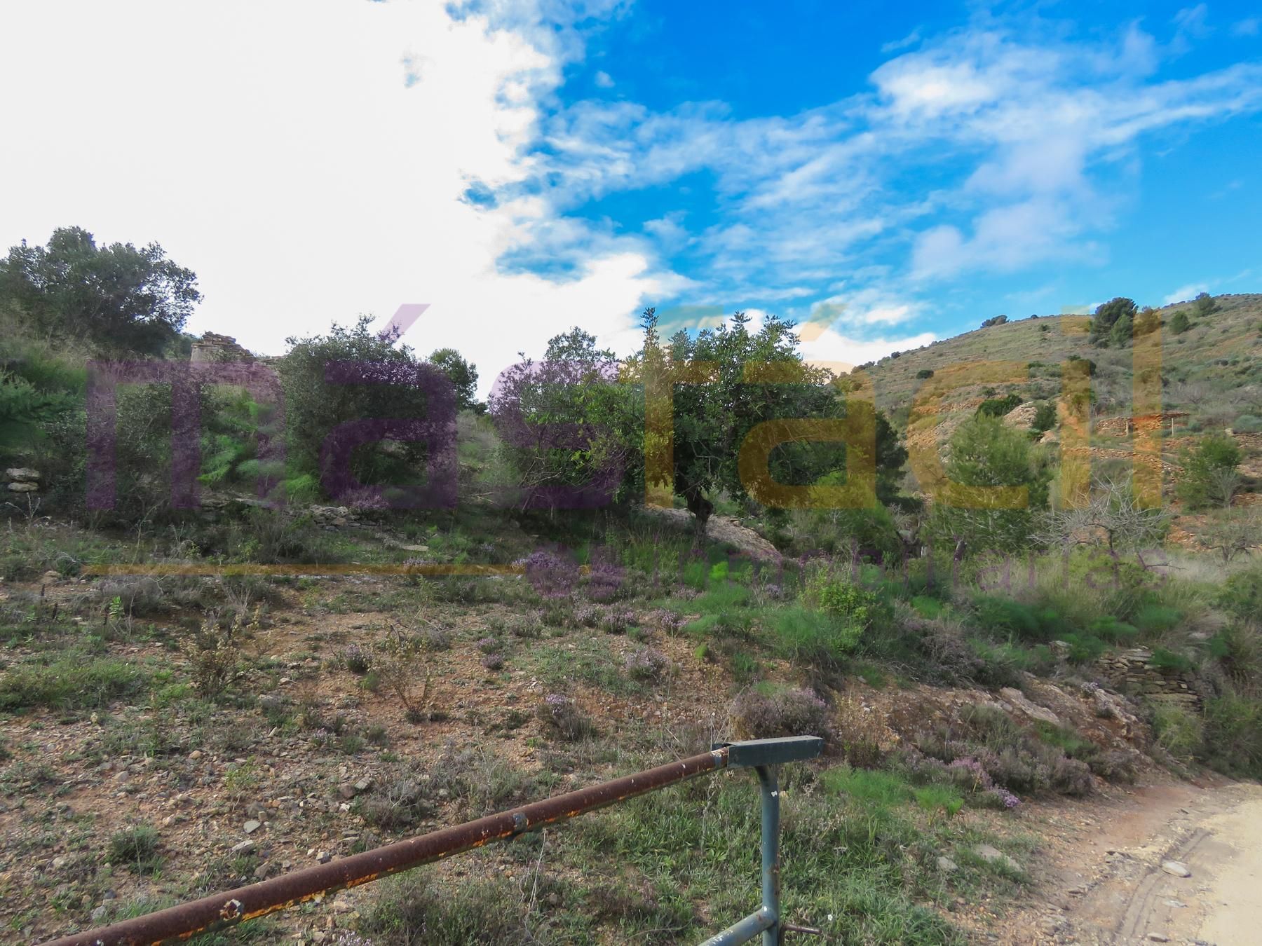 Finca rústica en venta en los Jarales, Perín