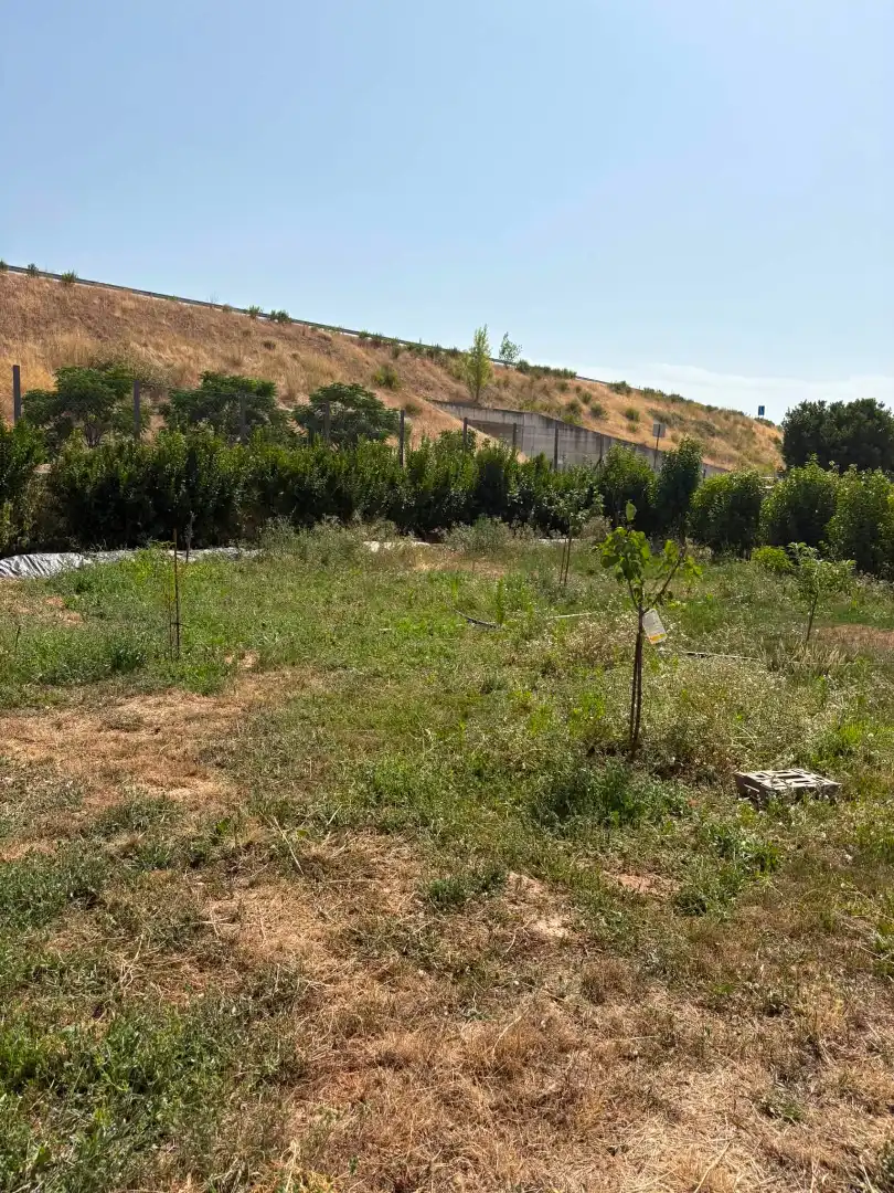 Terreno rústico en venta en La Portalada - Varea, imagen 27