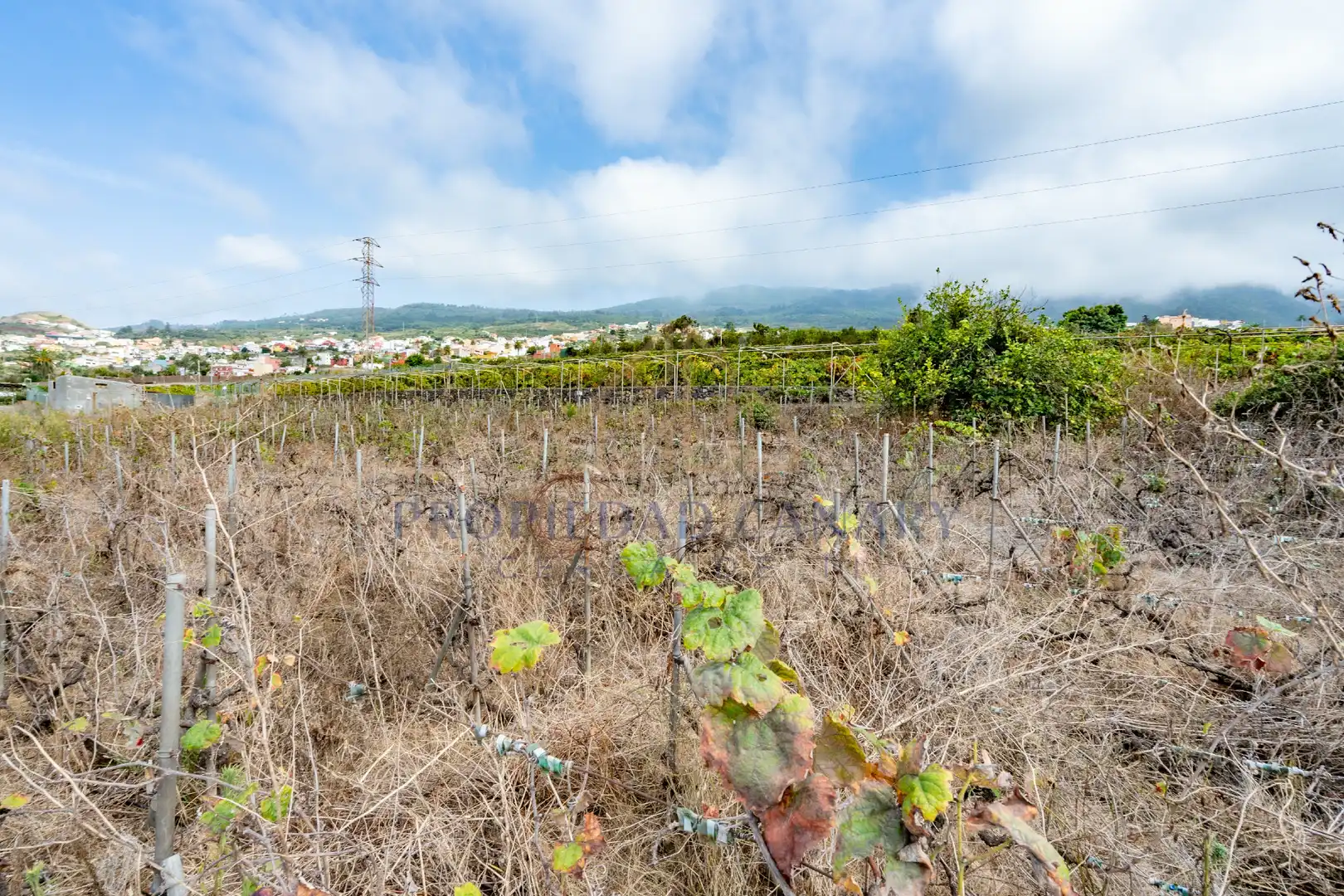 Terreno residencial en venta en Calle Vista Alegre 3, imagen 30