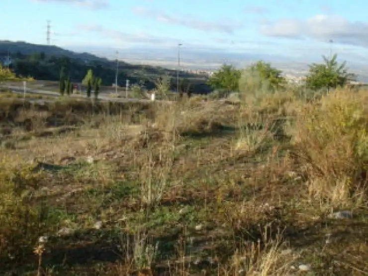 Industrial land for sale in SUELO URB SAU 8, imagen 4