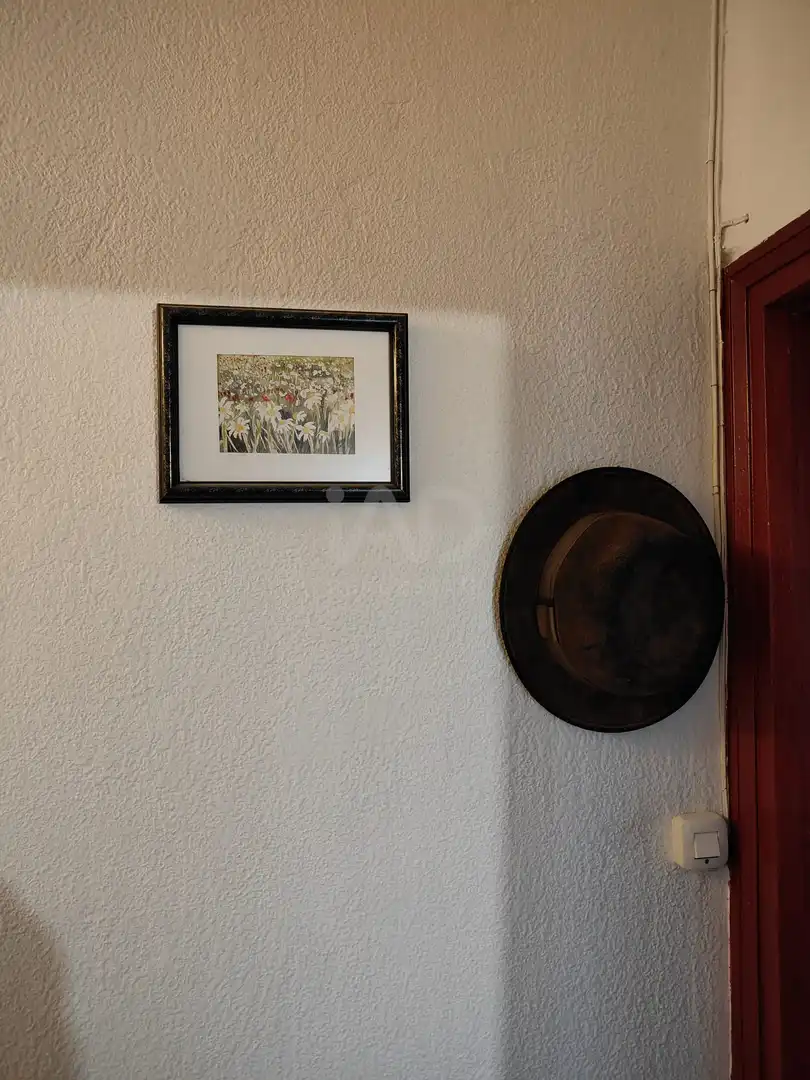 Sala de estar de Piso en venta en Valladolid con Calefacción y Terraza
