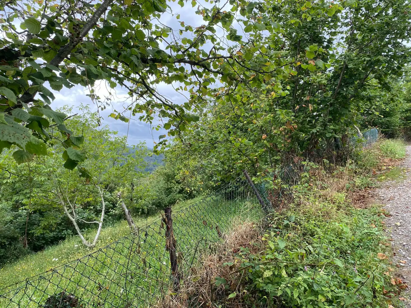 Houses for sale in Gamonedo, Cangas de Onís