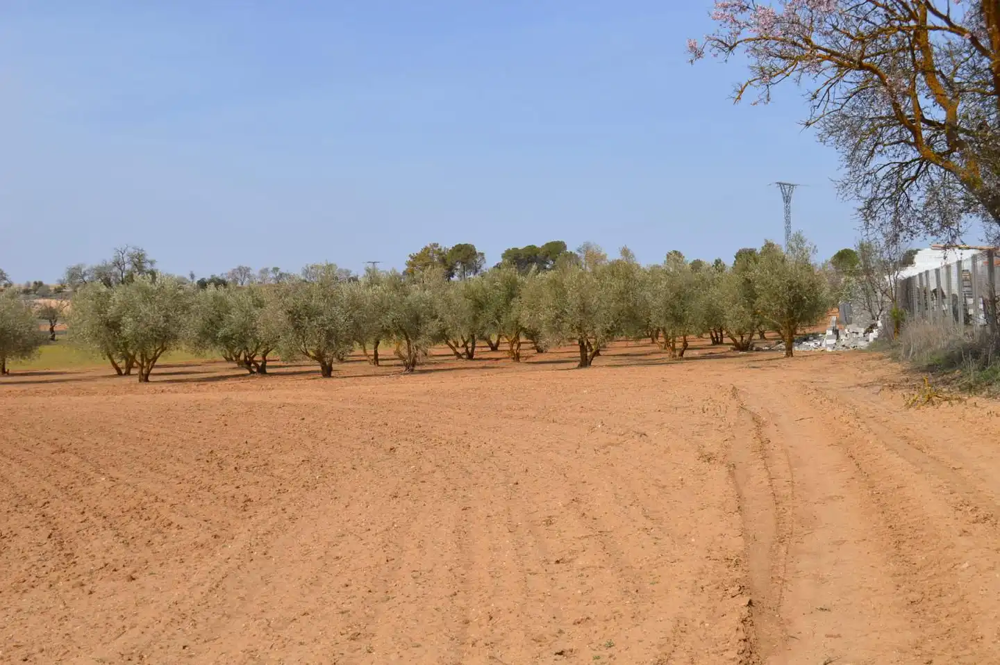 Terreni e lotti in vendita a Tarancón