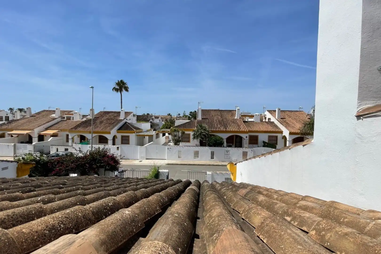 Chalet con jardín en venta en Torre de la Horadada, imagen 23