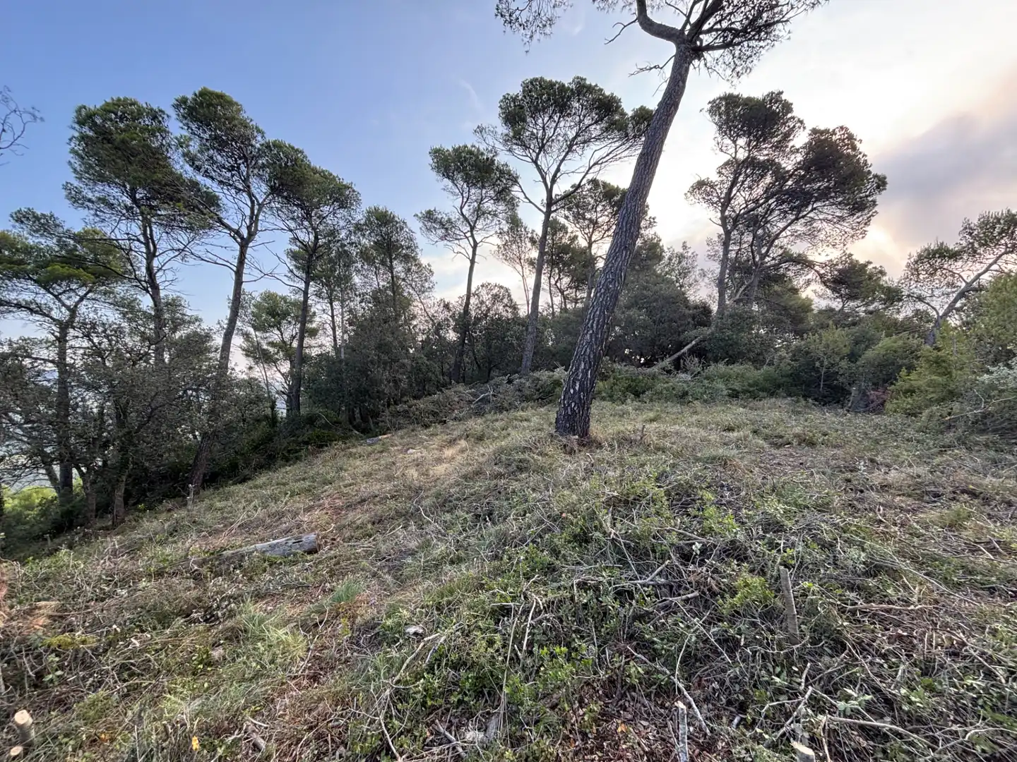 Residential land for sale in Carrer Pasarell, imagen 13