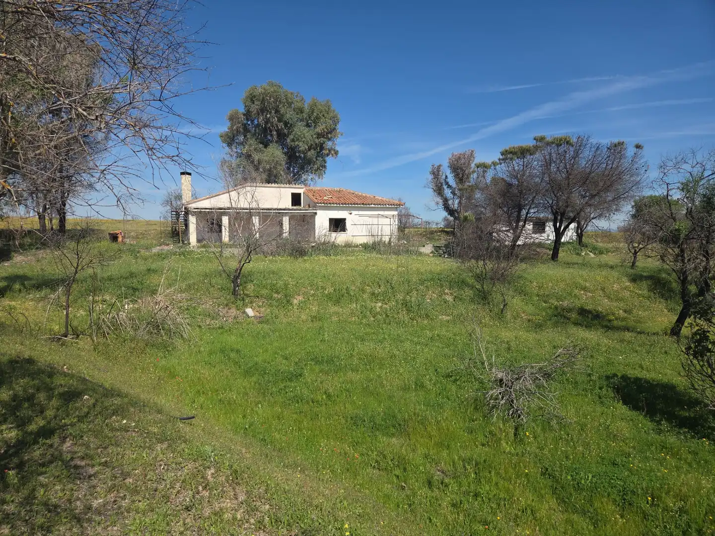 Finca rústica en venta en Navalcarnero