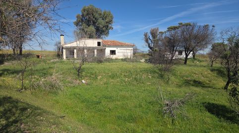 Foto 4 de Finca rústica en venta en Urb. Calypo, Navalcarnero