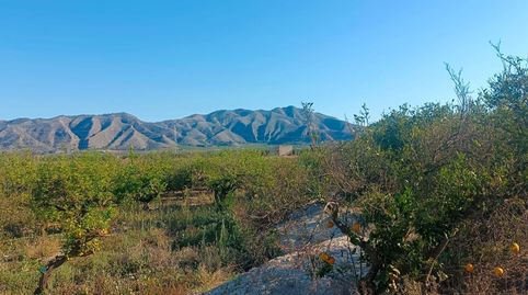 Foto 5 de Finca rústica en venta en Benferri, Alicante