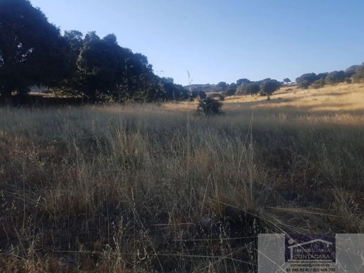 Finca rústica en venta en Colmenar Viejo