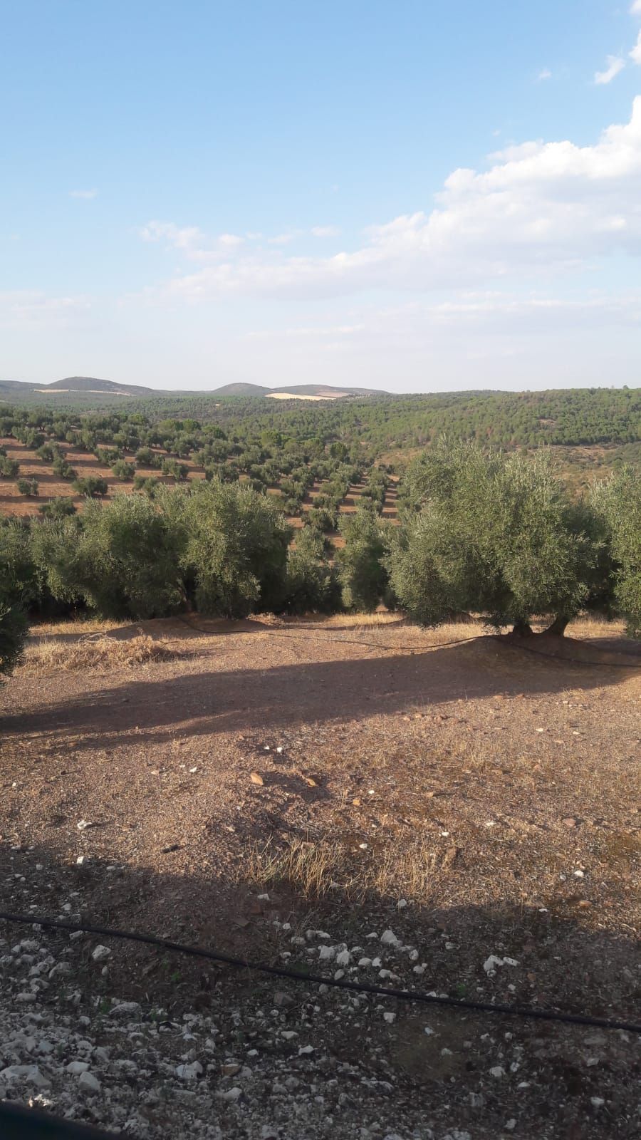 Land for sale in  Jaén Capital