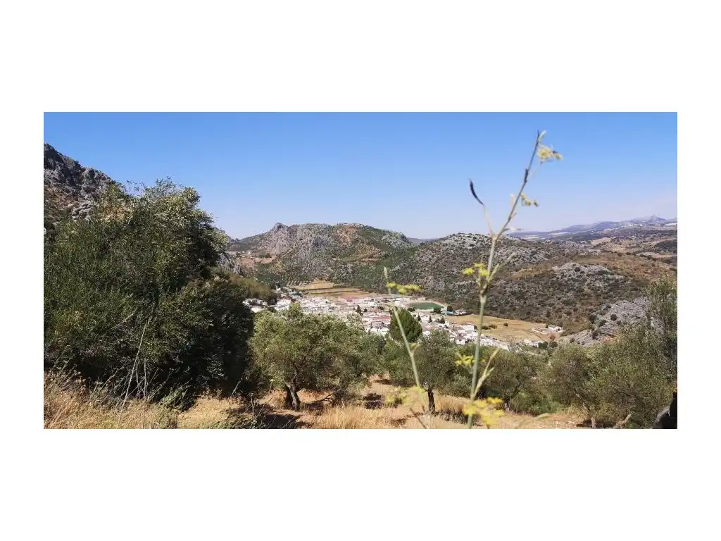 Casa en venta en Casco Histórico, imagen 7