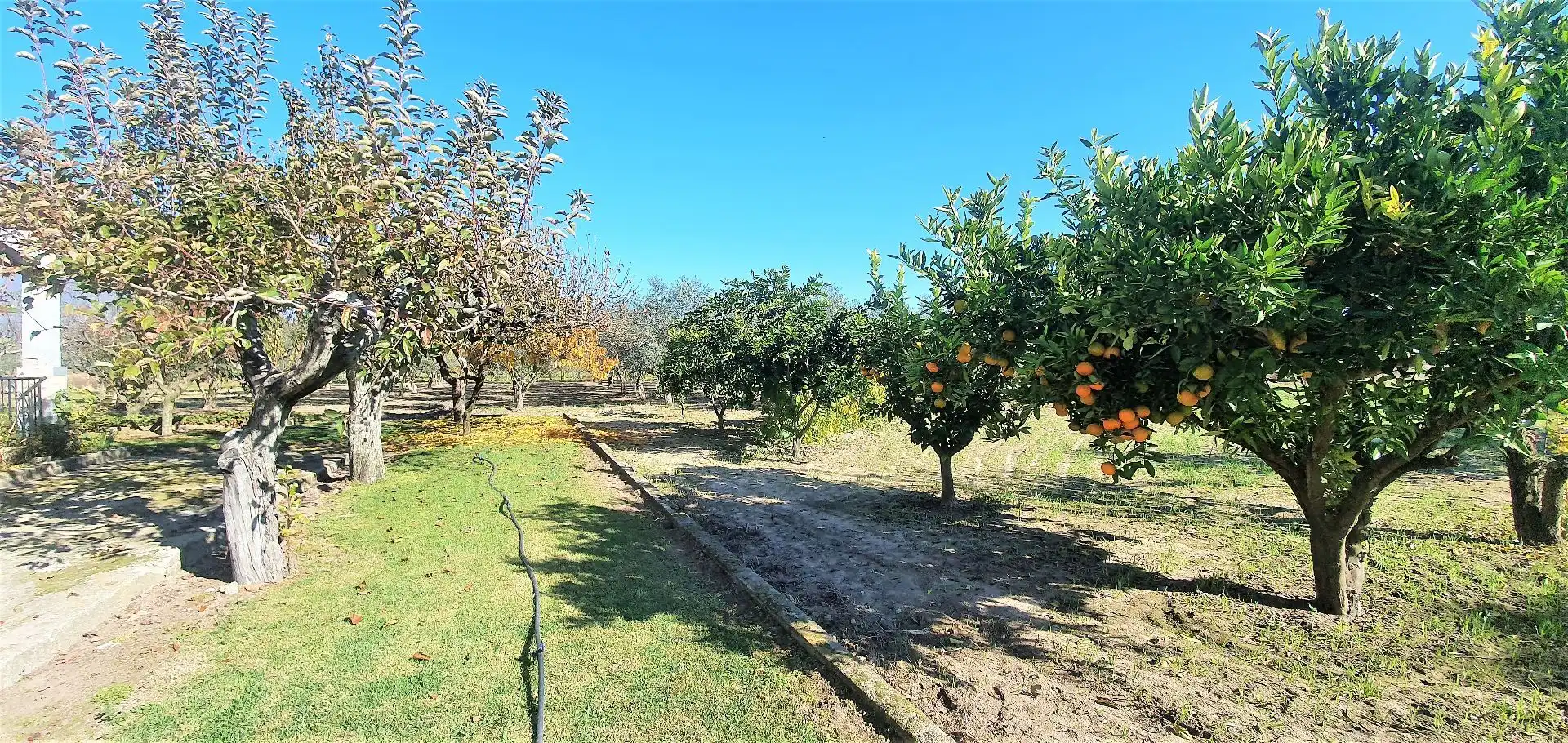 Terreni e lotti in vendita a Losar de la Vera, imagen 16