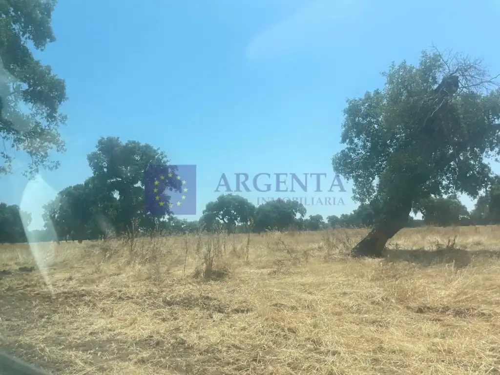 Maison à vendre à Poligono 8 Paraje 77 Grupo 2 Prejigo, imagen 4