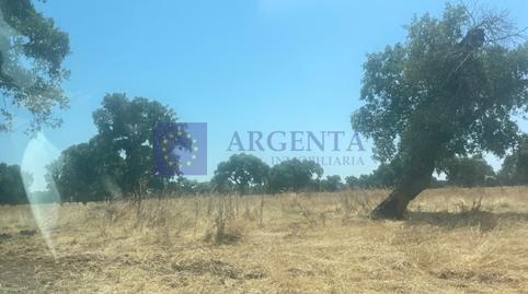 Photo 4 of House or chalet for sale in Poligono 8 Paraje 77 Grupo 2 Prejigo, Monroy, Cáceres