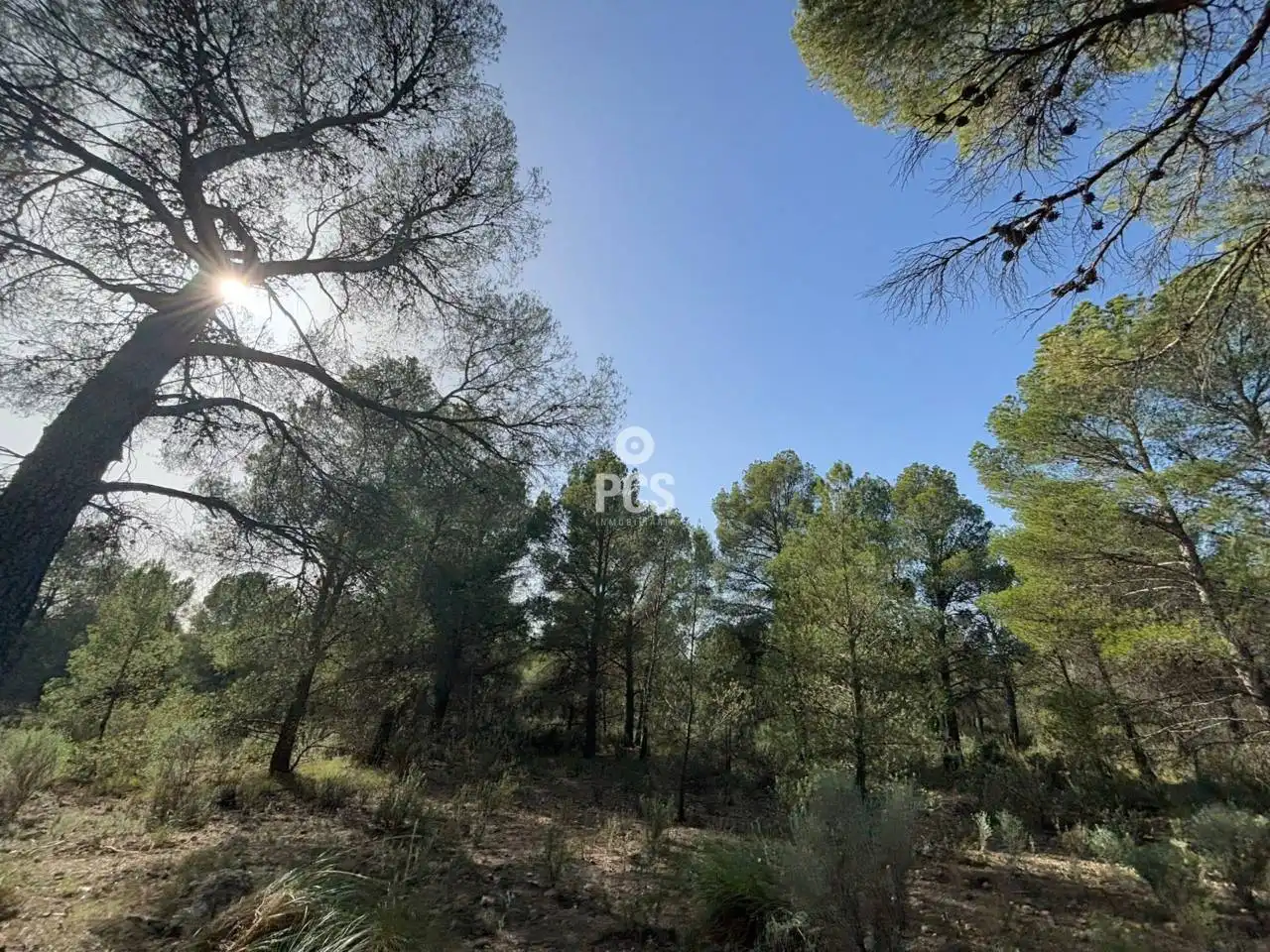Terreny rústic en venda a Calle Sierra Espuña Anexo Balsa Grande 3 S/N, imagen 7
