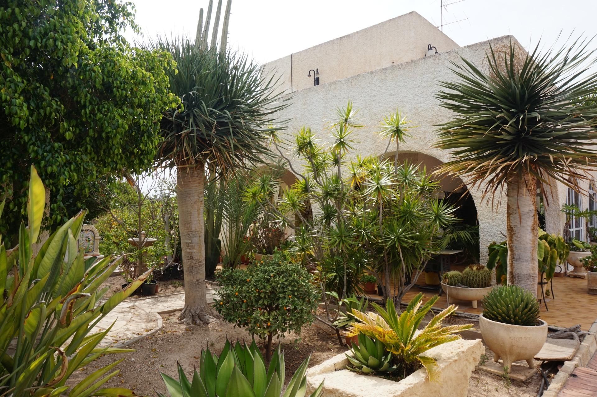 Jardí de Casa o xalet en venda en Elche / Elx amb Jardí privat, Terrassa i Traster