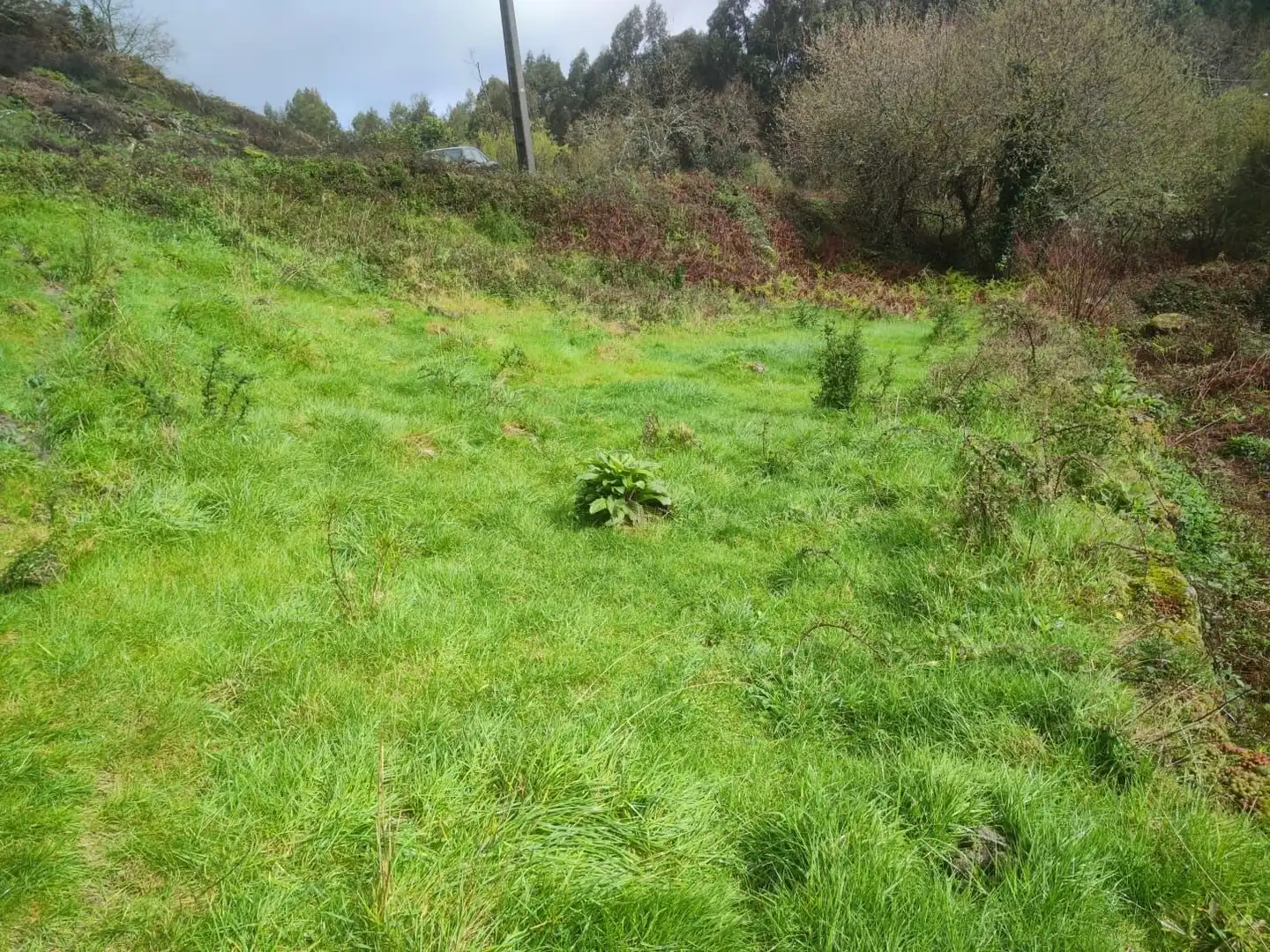 Terreno rustico in vendita a Ponte Caldelas, imagen 16