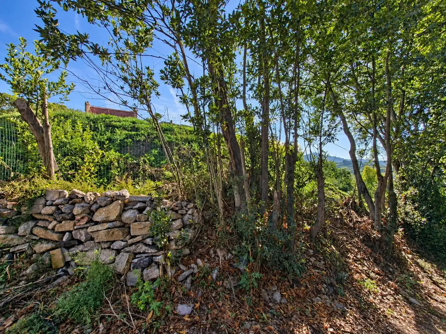 Terrain rustique à vendre à Camino de Caldones 2380, imagen 22