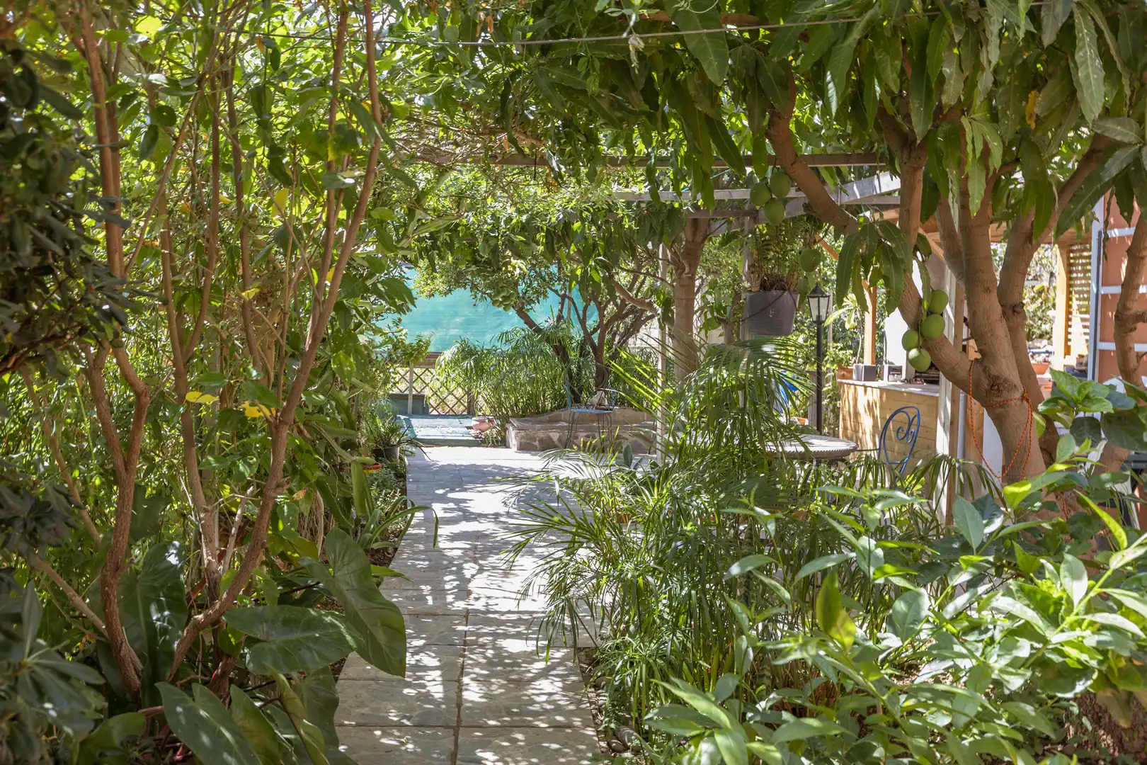 Casa con piscina in vendita a Araya, imagen 13