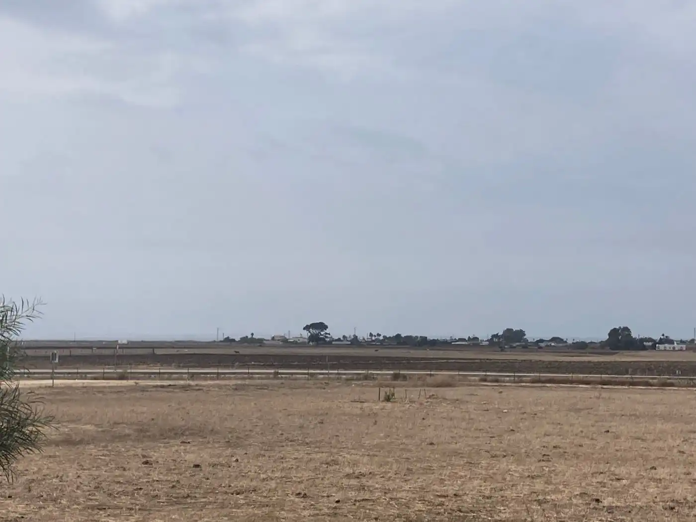 Terreni e lotti in vendita a Carretera vejer- el palmar, imagen 6