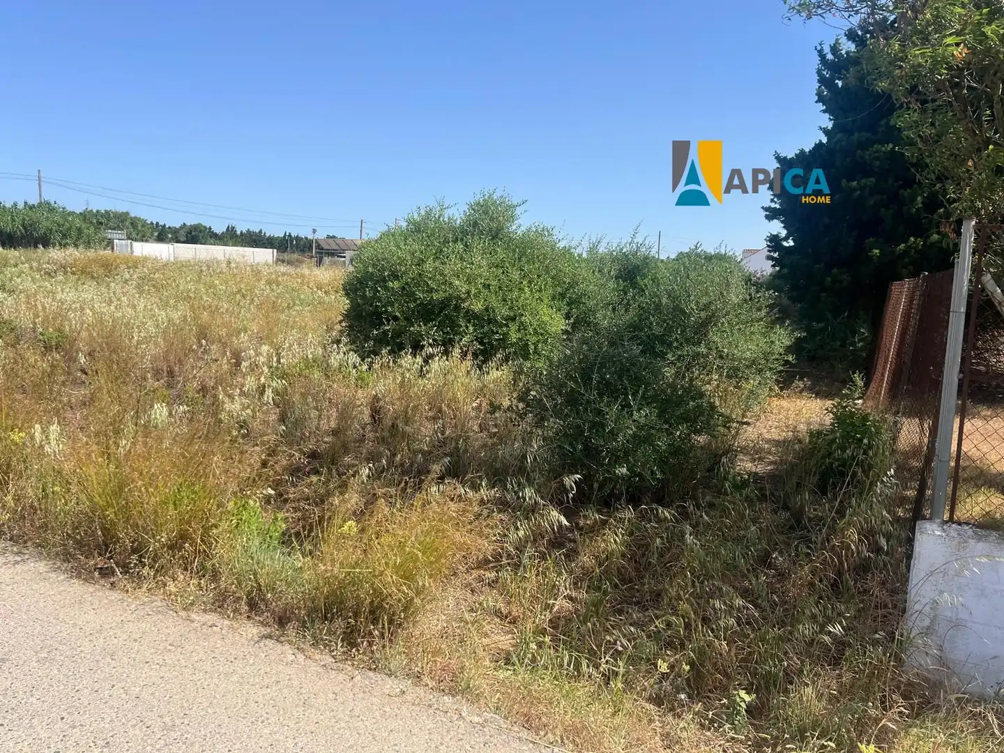Rural land for sale in Barrio Nuevo, imagen 7