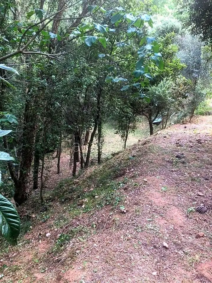 Finca rústica en venta en Arbúcies con Jardín privado, Terraza y Amueblado