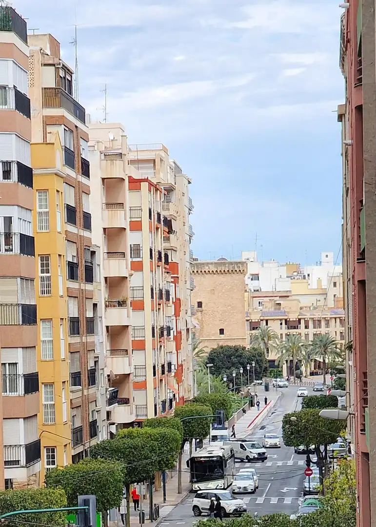 Wohnung mit Terrasse zum Verkauf in Elche ciudad, imagen 44