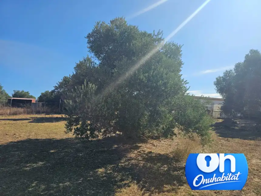 Terrenos y solares en venta en Gibraleón, imagen 7