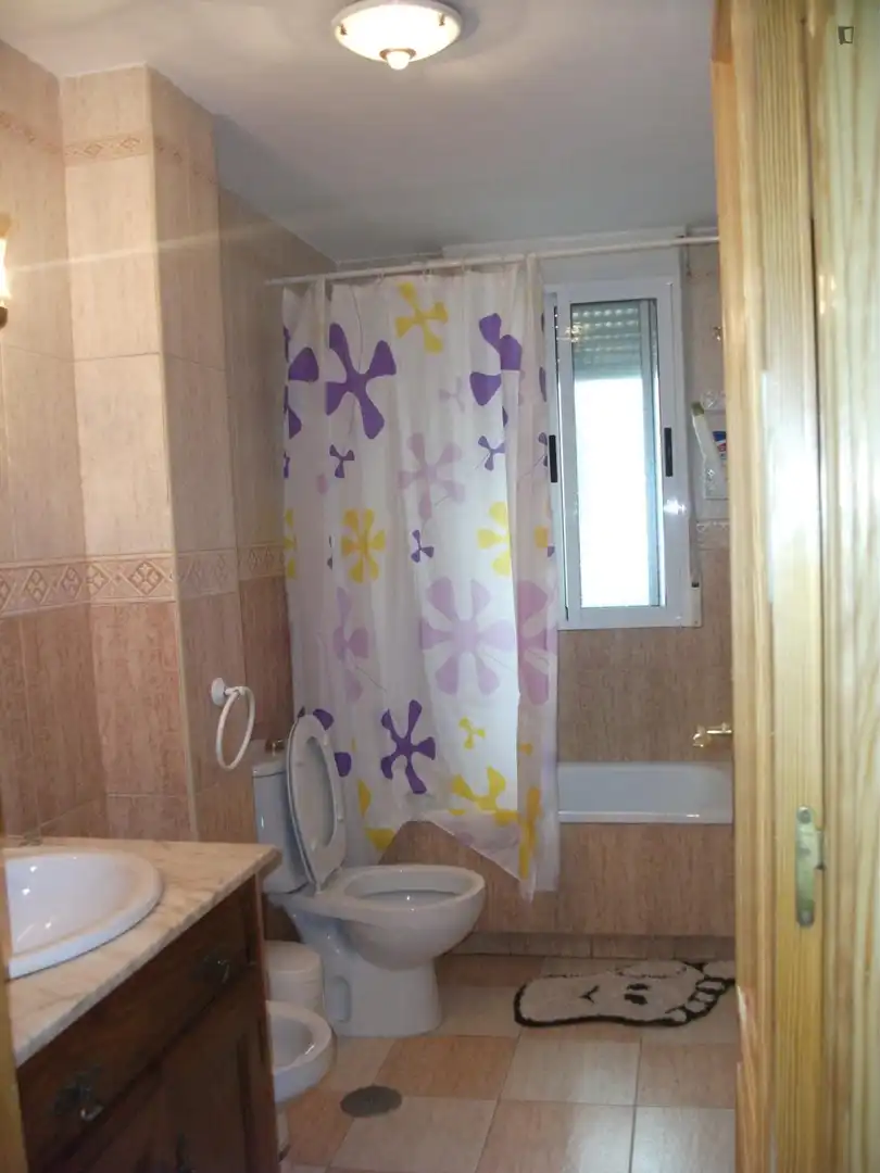 Bany de Apartament per a compartir en Granada amb Moblat, Forn i Rentadora