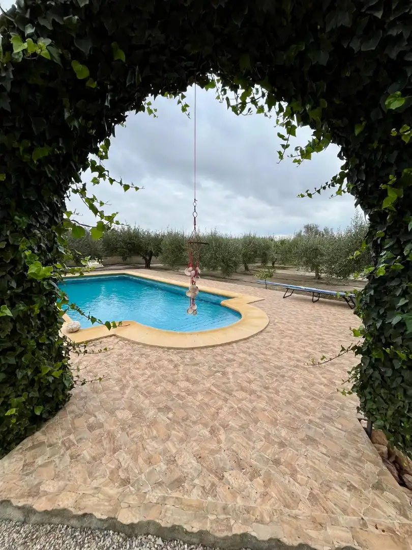 Swimming pool of Detached homes for sale in Mojácar  with Air Conditioner, Heating and Private garden