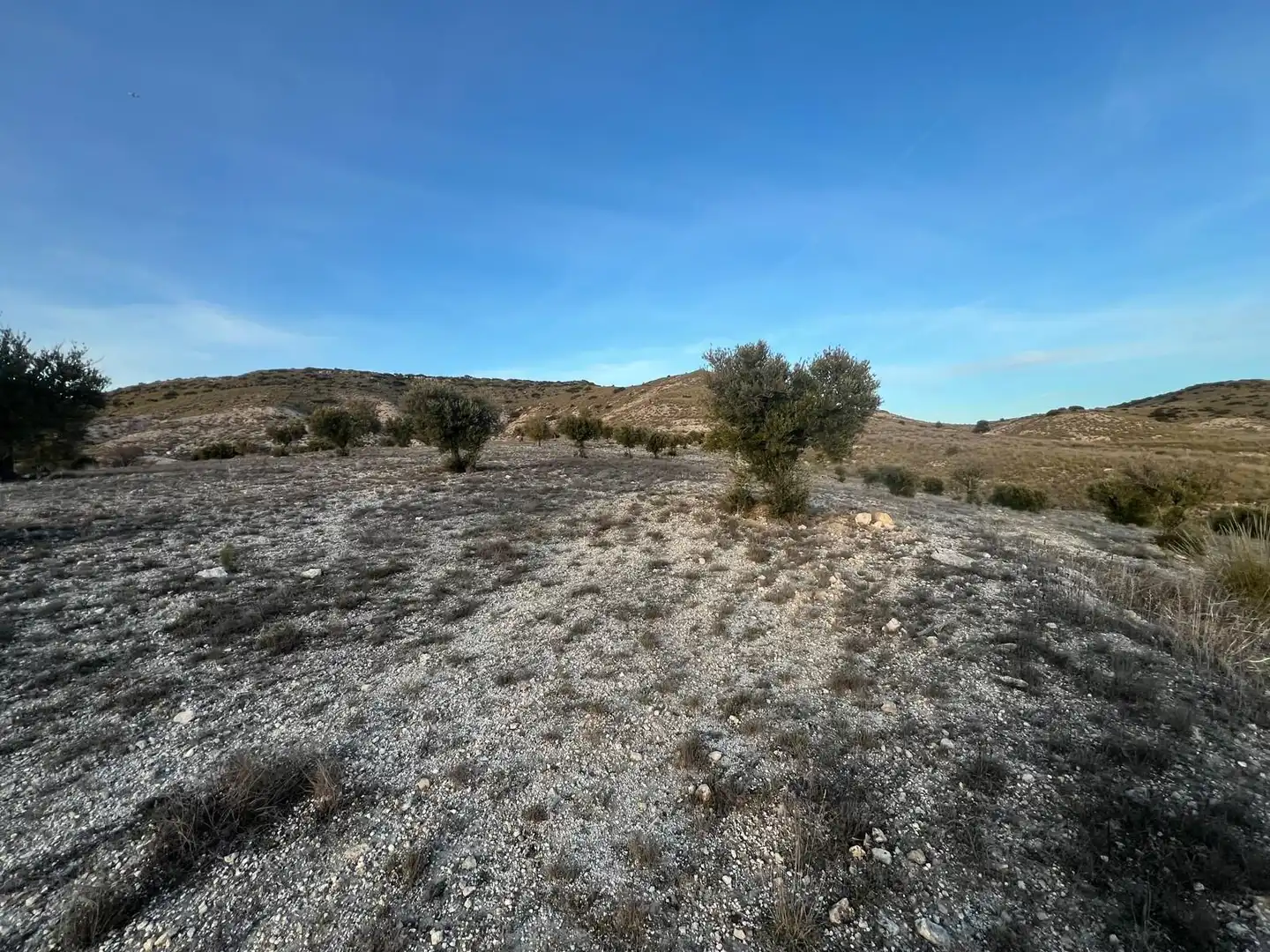 Rural land for sale in Polígono, imagen 8