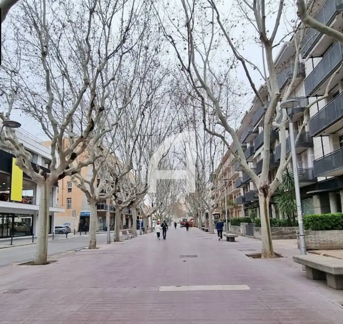 Locale commerciale in affitto a TERRAPLE