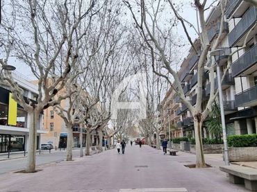 Local comercial en alquiler en TERRAPLE