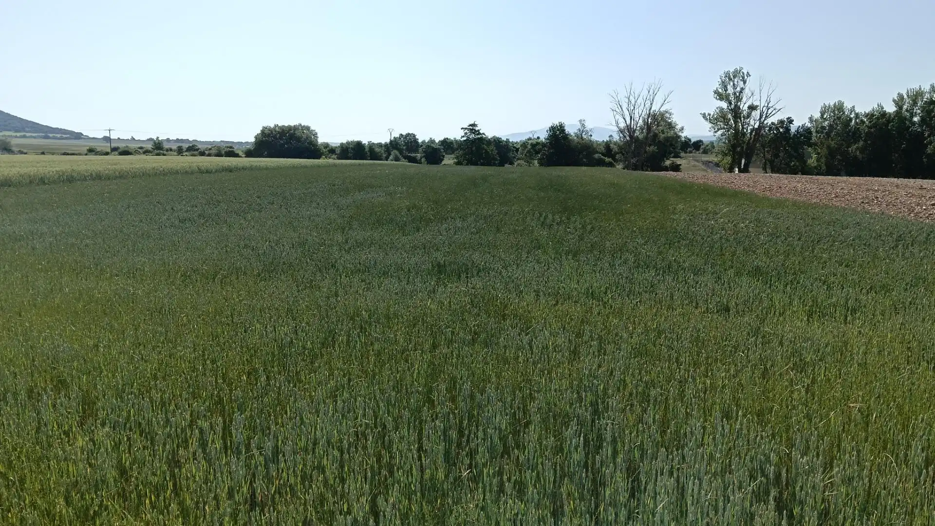 Land for sale in Ibeas de Juarros