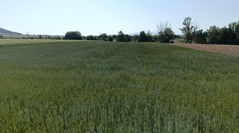 Photo 2 of Land for sale in Ibeas de Juarros, Ibeas de Juarros, Burgos