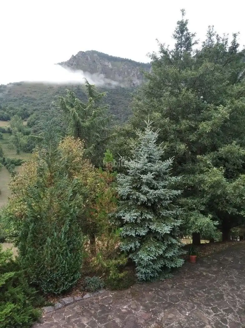 Xalet amb jardí en venda a Barrio Camaleño 56, imagen 23